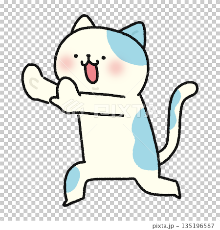 Wait a minute, cat 135196587