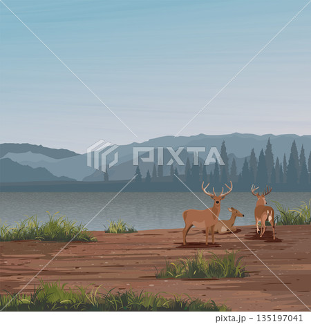 Minimalism landscape of muddy area with deer pack, lake, pine forest and mountain ranges  graphic illustration have blank space at blue sky. 135197041