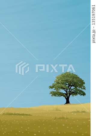 Minimalist flower field landscape and big tree with blue sky vertical background graphic illustrated have blank space. 135197061