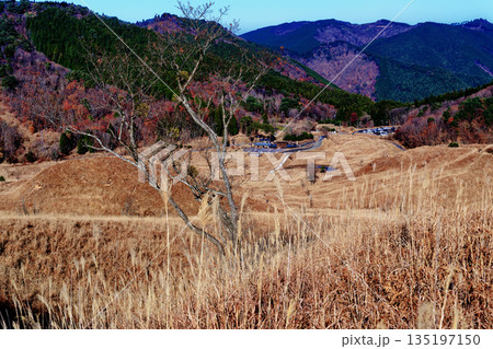 砥峰高原 135197150