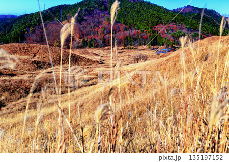 砥峰高原 135197152