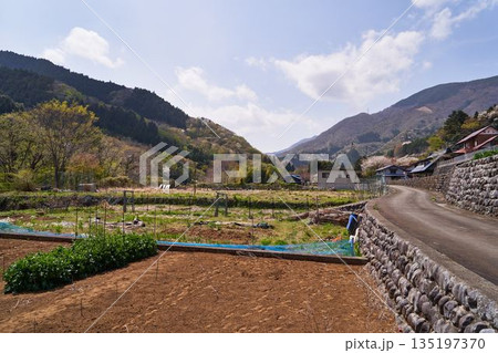 山梨県　道志村の風景 135197370