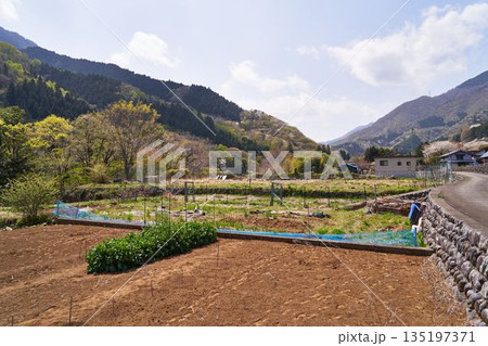 山梨県 道志村の風景 山梨県 道志村の風景 135197371