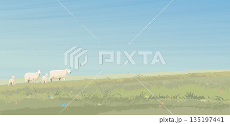 Minimalist landscape grass hill with sheep family side view graphic illustrated have blank space. Minimalist landscape grass hill with sheep family side view graphic illustrated have blank space. 135197441