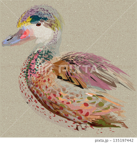 Pastel Mandarin duck surrelism overlap transparent with risograph effect graphic illustrated. 135197442