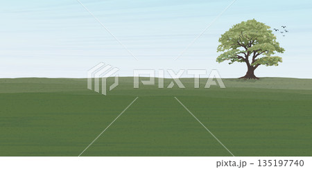 Minimalist landscape grass field with big tree flat design illustrated have blank space. 135197740