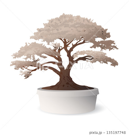 Bonsai tree in flowerpot isolated graphic illustrated. 135197748