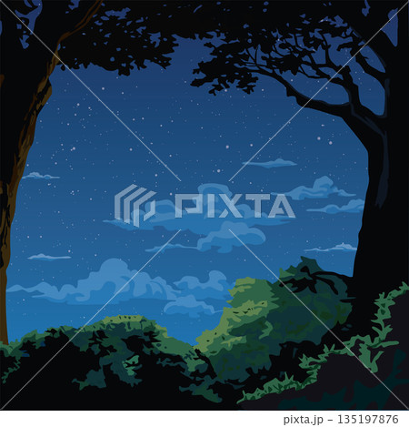 Silhouette tree and bush graphic with night sky square background illustrated. 135197876