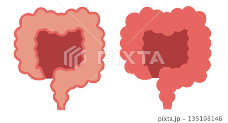 大腸とその断面図のイラスト 135198146