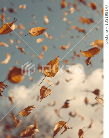 Dry golden autumn leaves falling in the air against a cloudy sky. Selective focus on a single leaf with beautiful bokeh background. Seasonal nature and change concept, vertical shot. 135198147