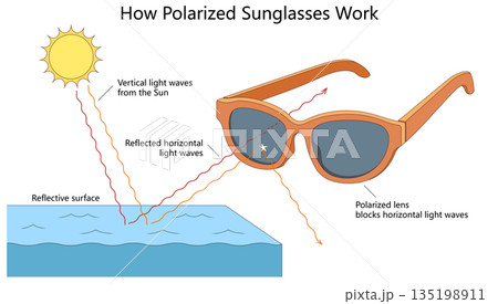 How polarized sunglasses reduce glare surfaces 135198911