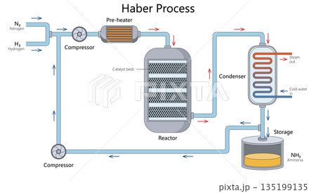 Haber Process Diagram for Ammonia Production 135199135
