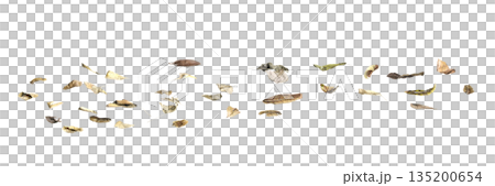 Multiple dead leaves 3d illustration on transparent background 135200654