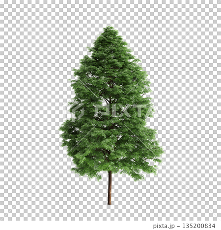 Pogonatherum crinitum bush plants 3d illustration on transparent background 135200834