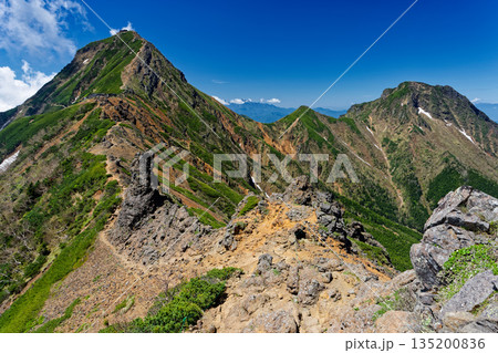 夏の八ヶ岳連峰・赤岳と阿弥陀岳の眺め 夏の八ヶ岳連峰・赤岳と阿弥陀岳の眺め 135200836
