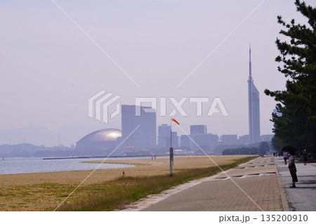 マリナタウン海浜公園 海っぴビーチ マリナタウン海浜公園 海っぴビーチ 135200910