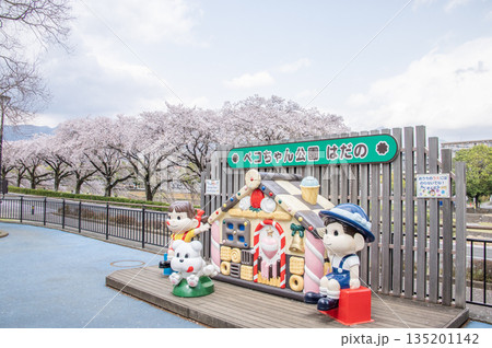 はだの 水無川沿いの桜 神奈川県秦野市 はだの 水無川沿いの桜 神奈川県秦野市 135201142