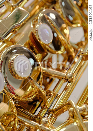 Generic valved brass musical instrument 135201162