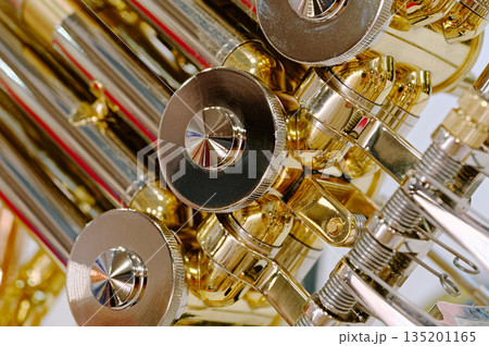 Generic valved brass musical instrument Generic valved brass musical instrument 135201165