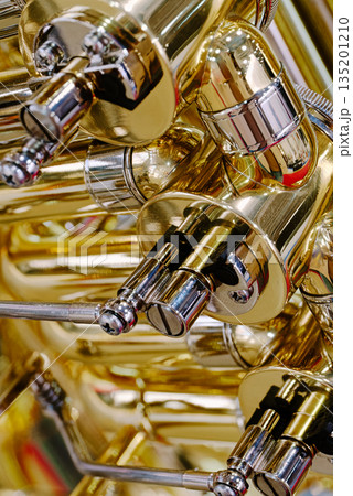 Generic valved brass musical instrument 135201210