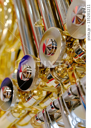 Generic valved brass musical instrument 135201211