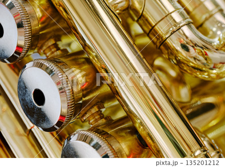 Generic valved brass musical instrument 135201212