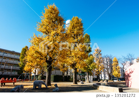 藤塚第三児童公園　通称タコ公園のイチョウ　東京都狛江市和泉本町 135201272
