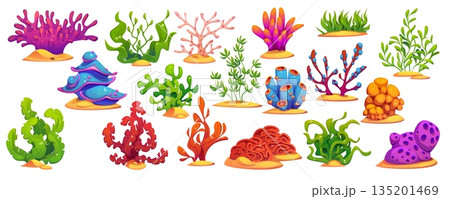 Underwater cartoon seaweed algae and coral reefs, vector sea and ocean water plants. Red and green aquarium flora and stony corals set with kelp, anemone and diploria, laminaria and rhodymenia algae 135201469