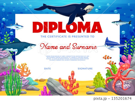 Kids diploma with sea animals, seaweeds and coral reefs. Kids education certificate, diploma or award in vector frame background with killer whale, octopus, shark and fish underwater landscape 135201674