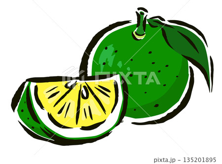 すだち　葉付き・くし切り　筆タッチ手描きイラスト 135201895