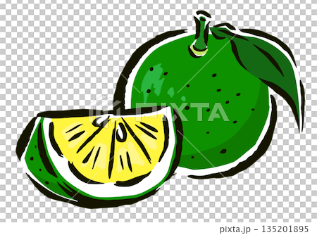すだち　葉付き・くし切り　筆タッチ手描きイラスト 135201895