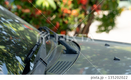 Close up of car windshield wipers on hood. Blurred green leaves and red flowers nature background. Vehicle detail concept at day time. Close up of car windshield wipers on hood. Blurred green leaves and red flowers nature background. Vehicle detail concept at day time. 135202022