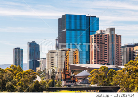 Adelaide City buildings skyline viewed across Torrens Riverbank and Montefiore Bridge on a day 135202414