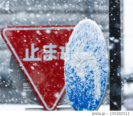 深々と降る雪と道路標識 深々と降る雪と道路標識 135202511