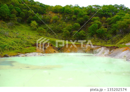 登別温泉地獄谷　奥の湯 135202574