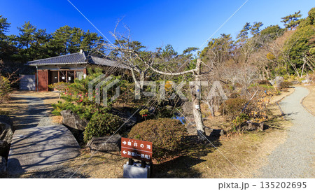 葉山しおさい公園の冬 葉山しおさい公園の冬 135202695