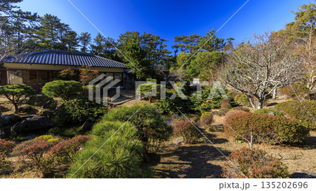 葉山しおさい公園の冬 葉山しおさい公園の冬 135202696