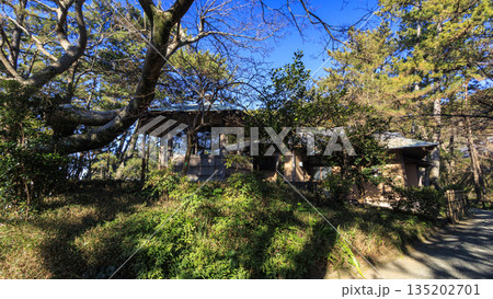 葉山しおさい公園の冬 葉山しおさい公園の冬 135202701