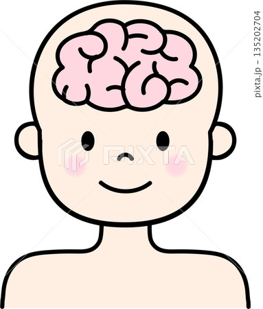 人間の脳のイラスト 人間の脳のイラスト 135202704