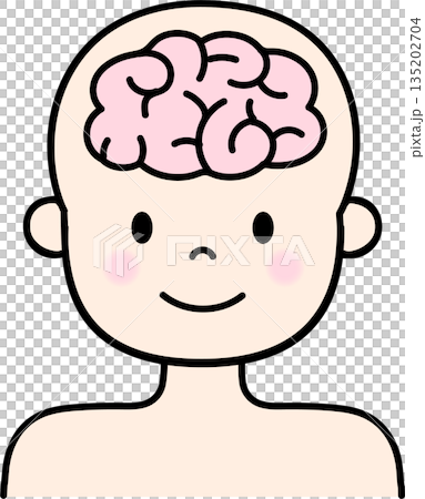 人間の脳のイラスト 人間の脳のイラスト 135202704