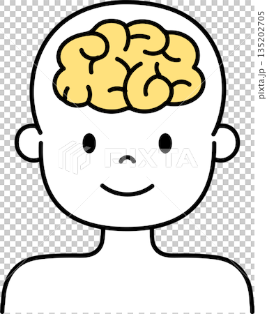 人間の脳のイラスト 人間の脳のイラスト 135202705