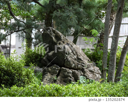 東本願寺 135202874