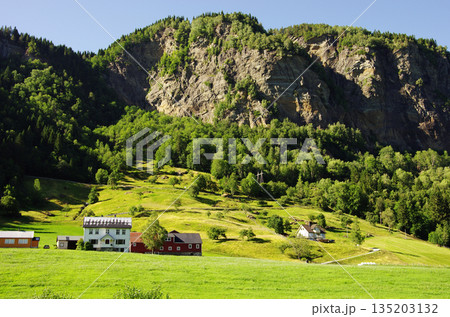 ハダンゲンフィヨルドの沿岸沿いの緑豊かな田園風景 135203132
