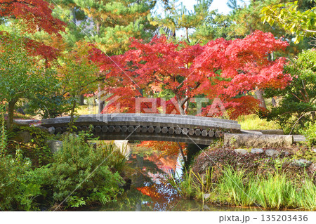 等持院の紅葉 135203436