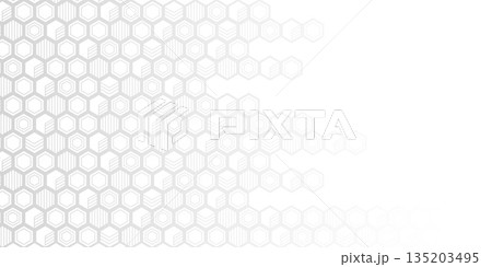 Technological background. Abstract background of hexagons. White background with lines. Vector illustration. 135203495