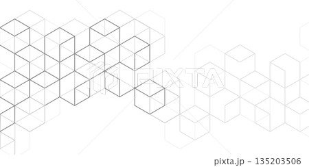 White background from cubes and lines. Abstract architecture. Linear geometric drawing. Vector illustration. 135203506