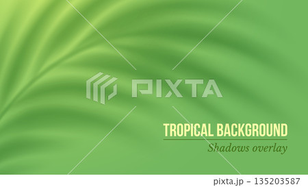 Palm Leaves Realistic Blurred Shadows Overlay 135203587