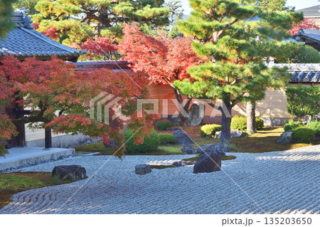 等持院の紅葉 135203650