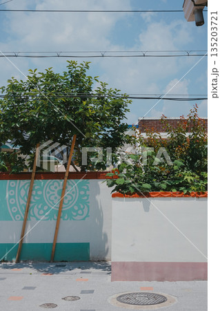 Korean Alleyway with Traditional Patterned Wall and Street Tree 135203721