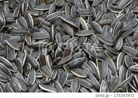 Dried sunflower seeds Dried sunflower seeds 135203932